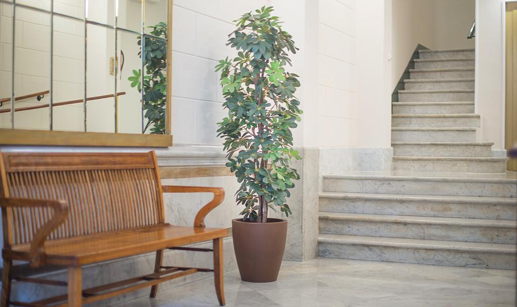 Anakena House Bed & Breakfast Барселона Екстер'єр фото